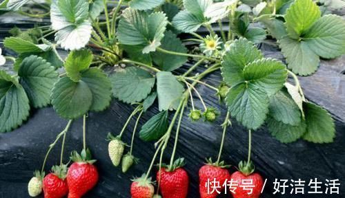 征兆|谁说长寿没有“征兆”？60岁以后还能做这4件事情，多半会长寿