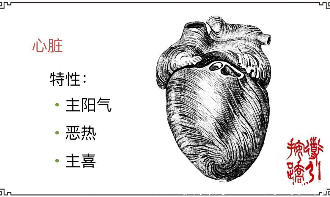 脏腑|心火过旺导致心烦、失眠、口舌生疮一招帮你泻心火