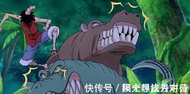海贼王|海贼王路飞的招式名对应了岛上陪练的动物,狮子王火箭炮威力大