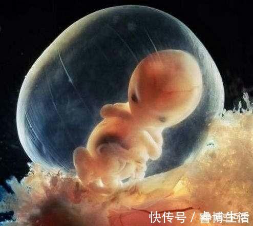 早孕反应|怀孕4个月是不是孕中期?有需要注意的事情吗?