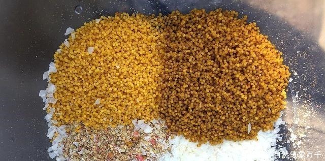 都说酒米钓鱼好用,但学会搭配以后,这3种选择会上鱼更多