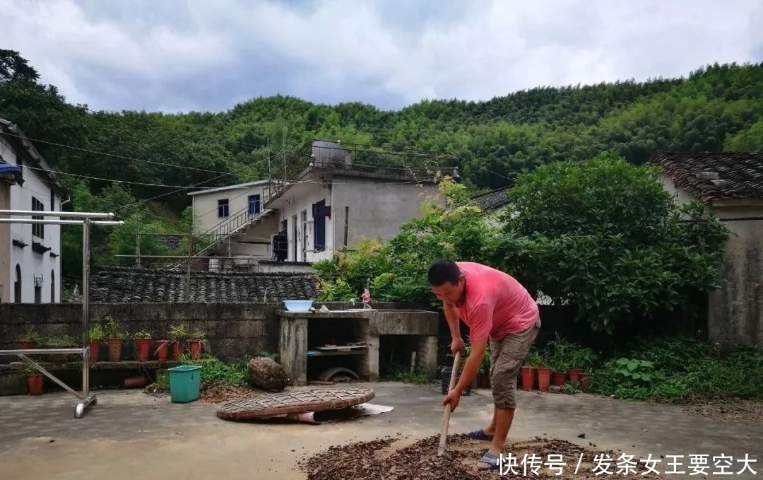 用什么可以去掉腐叶土里的虫?兰友:1块钱就解决