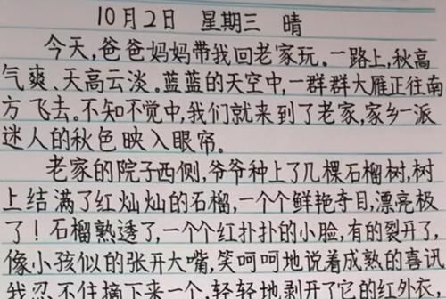 藤蔓|孩子“藤蔓字体”火了,乱七八糟让人看不懂,家长直接拿起棍子