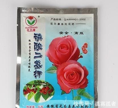 什么花卉都少不了“它”,人称“花卉肥王”,用后越养越旺!