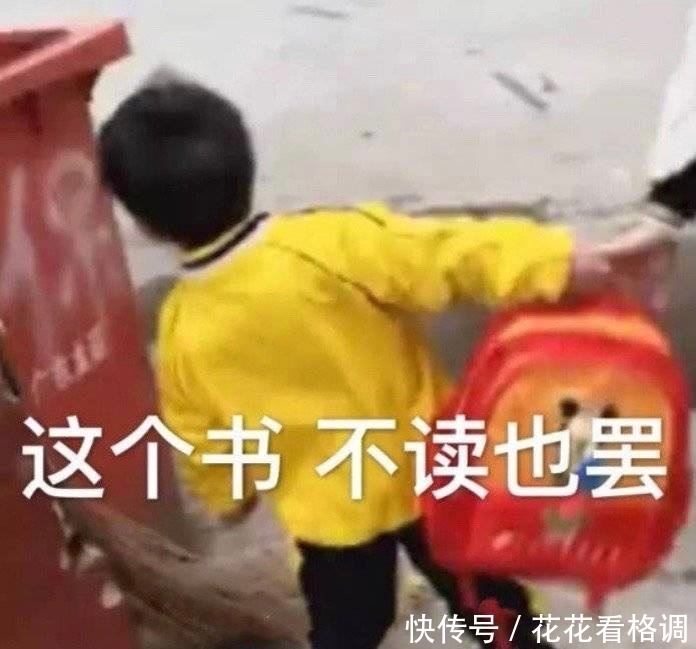 表情包第六期,这知识它不进脑子啊