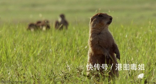 |10个幽默小笑话,开心一笑