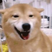 浅发|别再染挂耳染了!2021流行“发带染”,显白高级又洋气!