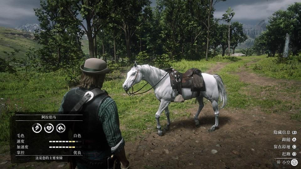 老爸|骨灰级真爱粉？65岁通关大表哥2，花一千多小时玩了30次