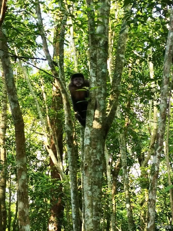 老年|震撼灵魂之旅