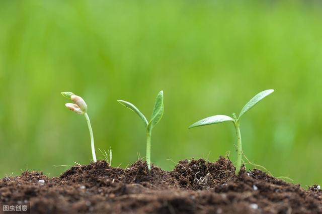 现实世界的真相,宇宙万物互联,你发出的任何能量都将返回自身