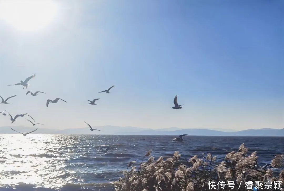 广西科师“拍了拍”你,并送上家乡美景