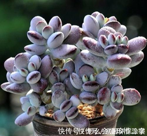 作业永远收不齐,老师想到一个好办法,当场分辨哪些人作业没交