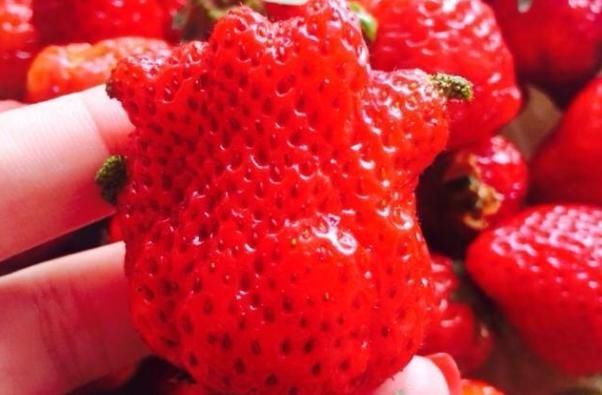 4种水果看起来新鲜又便宜，但最好不要买来吃，当心伤害身体