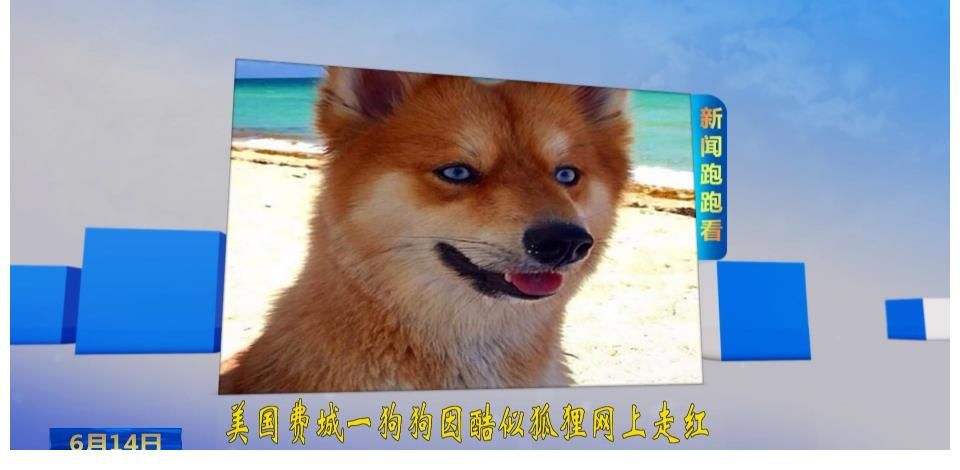 福州台《新闻午报》高清节目历史图册