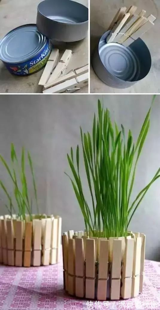 神器|别再花钱买普通花盆了,你意想不到的种花神器!