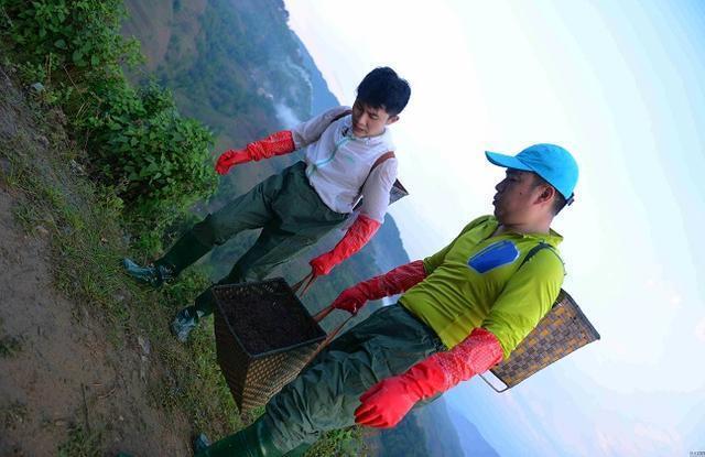 停播|早该被停播的几个综艺节目,不仅内幕让人气愤,甚至还误导青少年