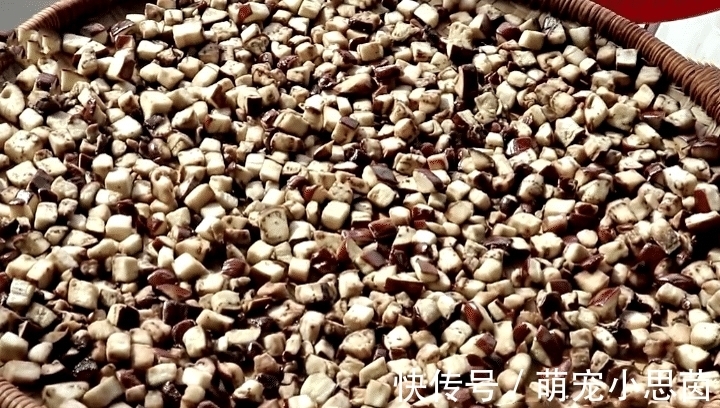 储存|秋天,遇到此菜别手软,8毛钱1斤,一次囤10斤,腌起来能吃一冬天