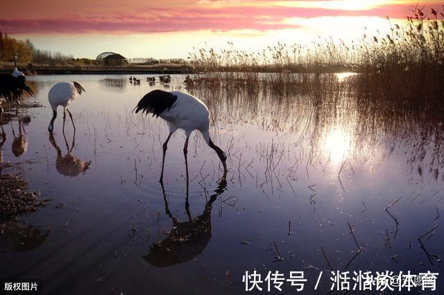 失眠|60岁以后，5件事不得不怕、不得不防！记住，并转告给老友们