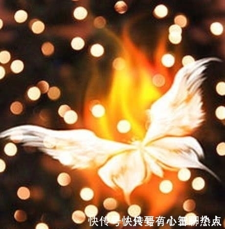 神话传说中,神兽凤凰与朱雀原来是如此关系,难怪世人会搞混!