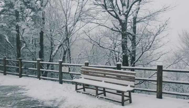 天目山景区|美如仙境！杭州、宁波下雪了，朋友圈看雪走起~