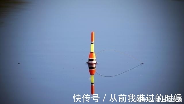 长子|钓鱼可能从来没有想过认真分析这两点，这才是夏季获鱼的要点所在