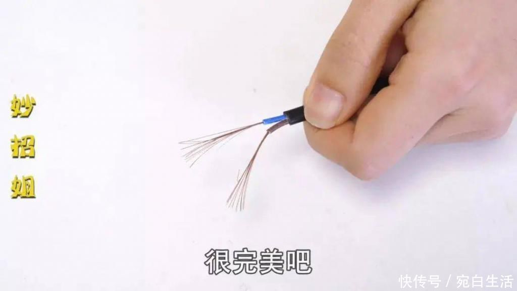 支架|用了20多年才知道,指甲剪上还有一个小机关,以前一直都用错了