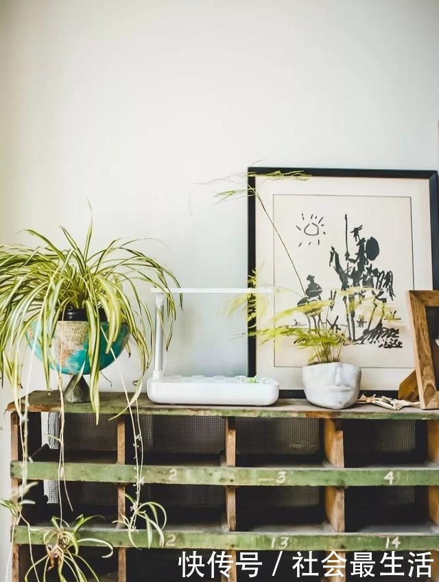 外国人发明的“室内小菜园”,一年四季长爆盆,太神奇了……!