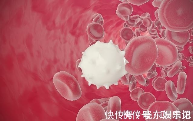 贪吃|“患癌”人数不断增加,3种食物“别贪吃”,多数人或许控制不住