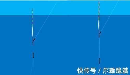 线组|钓鱼人的必修课：钓鱼调漂，何时最灵？何时最钝？