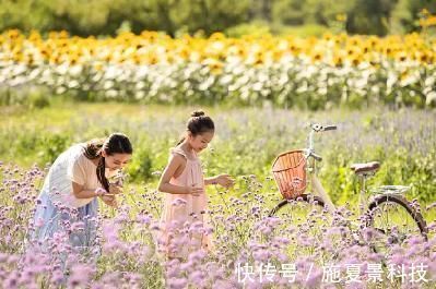 语文教材&南宋这首诗曾入选民国语文教材,开篇美不胜收,颔联寓意深远