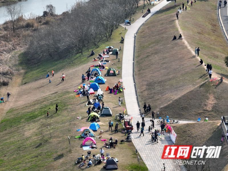 湖南人|壮观！太阳一出来，草地上就“长”满了快发霉的湖南人