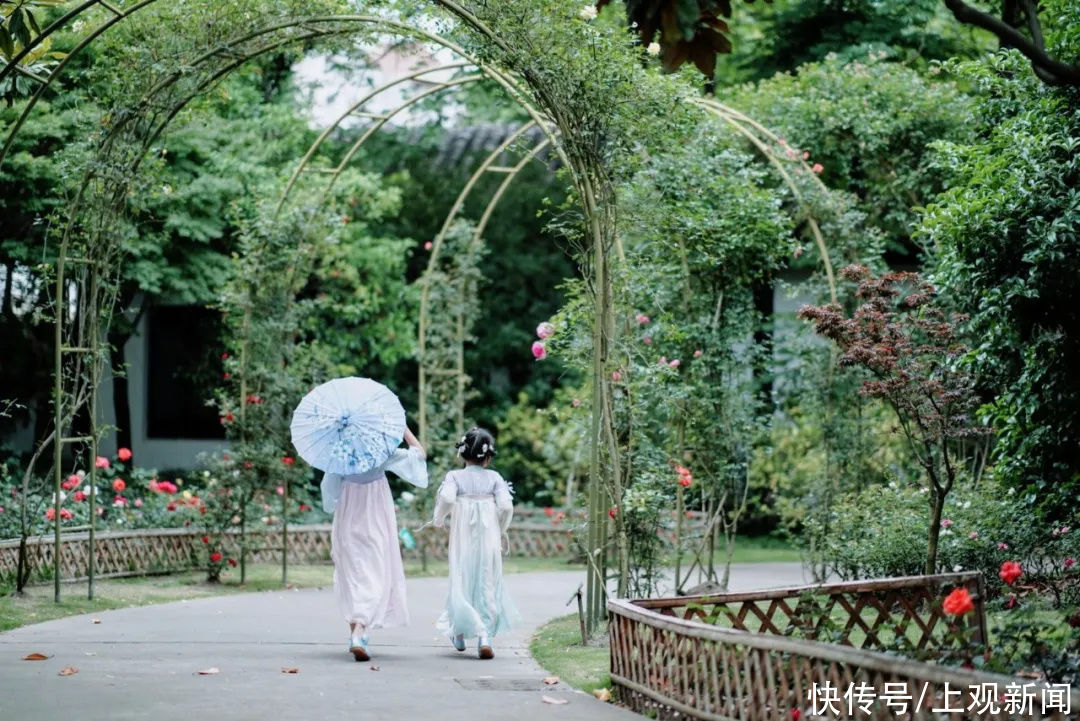 沙滩|穿越时空、漫游仙境、徜徉花海……在金山还可以这样玩