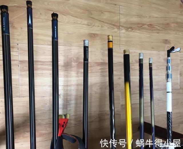 饵料|新手学钓鱼，应该要知道的5个真相