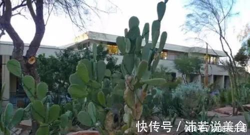 郁金香|7个绝美花园,个个美炸了天,等有钱了我也要建一个