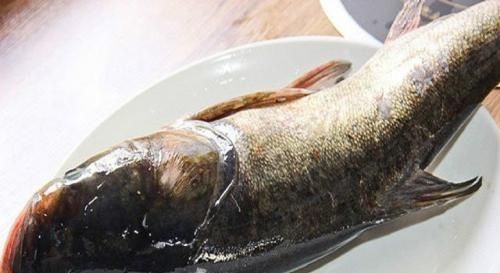 酸菜|酸菜和它是绝配,天冷了热乎乎来一锅,上桌就光盘