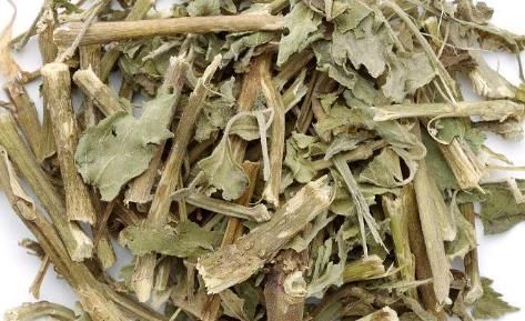 一种比香水还香的野草,含一片叶子能除口臭,还是上等高钙菜!