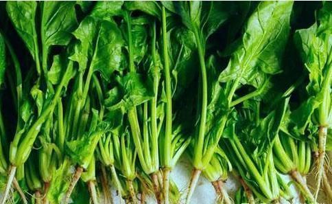 胃肠菌群|紧急提醒：宁愿孩子饿着，3种辅食要少碰！当心孩子脾虚不发育