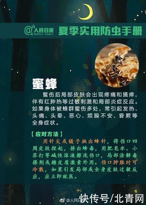男子|可怕！广西男子被虫咬了一口，几天后多器官功能衰竭