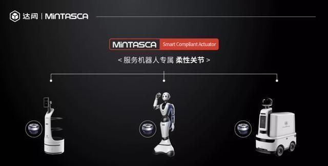 仿生机器人|「爱因斯坦」变网红?这个仿生机器人连老年斑都不放过
