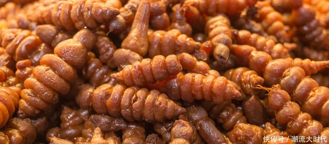 理气消胀,和胃止痛、疏肝健脾,舌苔薄白10种常用中成药功效大全