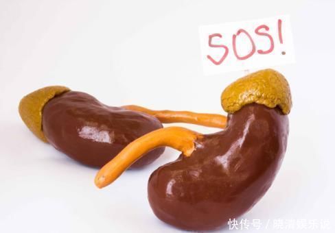 五脏|肾脏称为“五脏之根”，怕肾虚，牢记5个养肾方法，不妨试一试