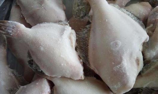 这种鱼,因冷冻被人嫌弃,却比带鱼营养,比鲫鱼香,少有人识货!