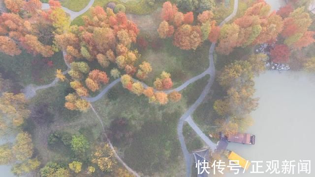 蜀冈|正观天下:雾景如画