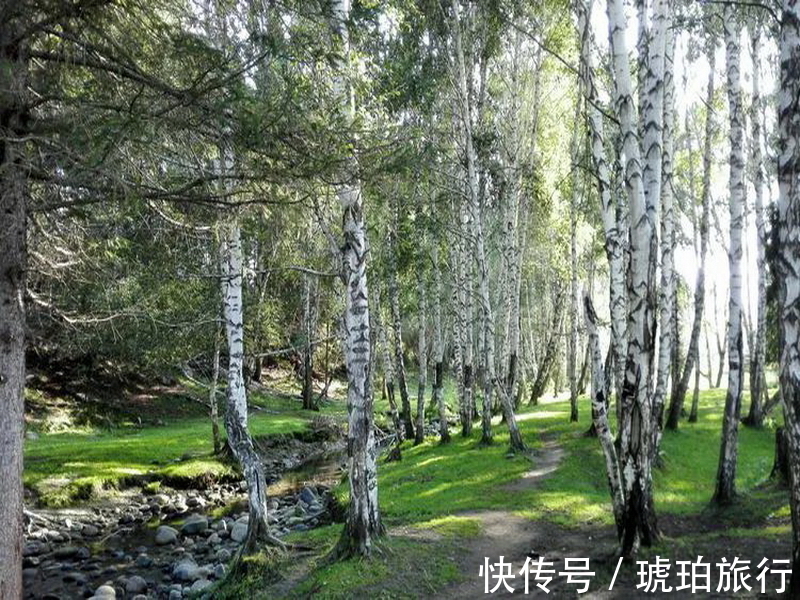 自由行|【穿越天山独库公路】-新疆-（13天）自由行、穿越独库公路，乌鲁木齐往返。