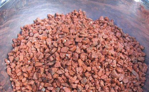 阳台上|“此树”是幸福的象征,还能开花结果、吸甲醛,回家赶快养一盆