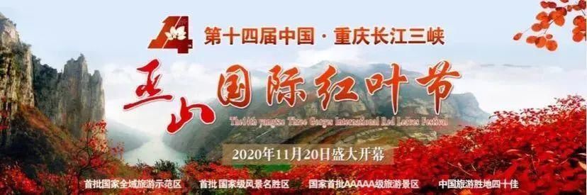 红叶|19对红叶恋人在巫山神女峰下见证爱情