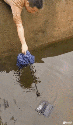 学校食堂大妈对西红柿炒鸡蛋是不是有什么误解?