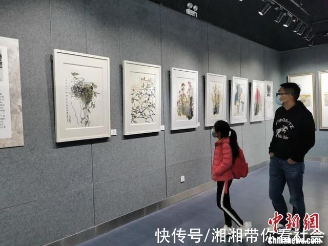 文化馆#广东省文化馆展出40余幅新时代岭南花鸟画