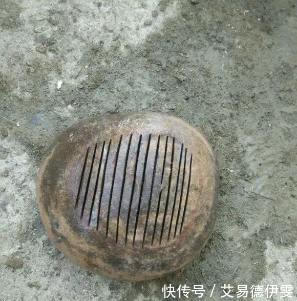 大爷用石头来养花,越养越值钱,有人出1000块也不卖!