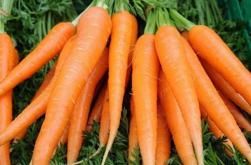 爱美女性，常食以下三种食物，排出体内毒素，轻松瘦出小蛮腰